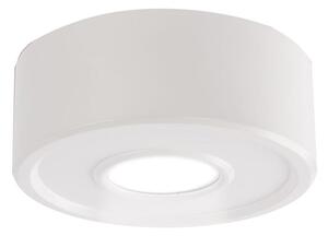 Shilo 7204 - LED Stropna svjetiljka ENA IL LED/10W/230V 3000K CRI 90 bijela