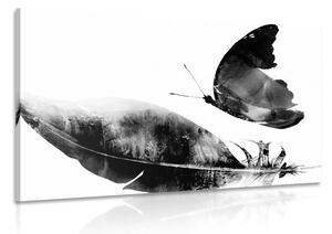 Slika perce s leptirom u crno-bijelom dizajnu