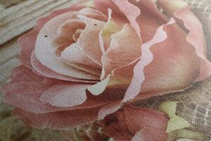 Slika ružičasta vintage ruža
