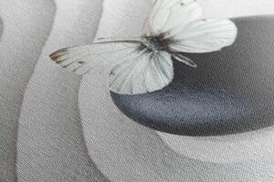 Slika bijeli leptir na crnom kamenu