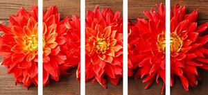 5-dijelna slika cvijeće crvene dalije