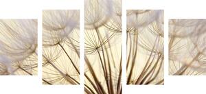 5-dijelna slika zlatne sjemenke maslačka - 100x50