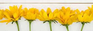 Slika divno žuto cvijeće