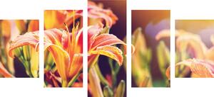 5-dijelna slika prekrasno cvijeće u cvatu u vrtu