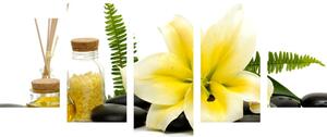 5-dijelna slika žuti ljiljan i wellness mrtva priroda - 100x50