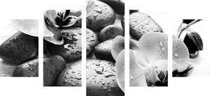 5-dijelna slika prekrasan sklad kamenja i orhideje u crno-bijelom dizajnu