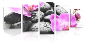 5-dijelna slika prekrasan sklad kamenja i orhideje
