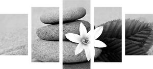 5-dijelna slika cvijet i kamenje u pijesku u crno-bijelom dizajnu