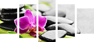 5-dijelna slika wellness mrtva priroda s ljubičastom orhidejom