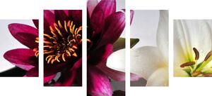 5-dijelna slika cvijeće u zdjeli