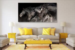 Slika tri konja u galopu