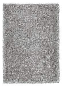 Sivi tepih Universal Aloe Liso, 200 x 290 cm