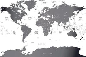 Tapeta zemljovid svijeta s pojedinim državama u sivoj boji