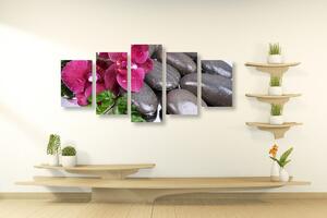 5-dijelna slika orhideja u cvatu i wellness kamenje