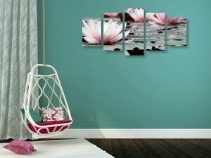 5-dijelna slika lotosov cvijet