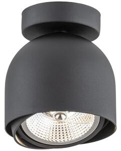 Argon 4711 - Reflektorska svjetiljka GARLAND 1xGU10-AR111/12W/230V crna
