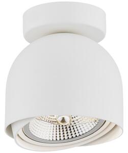 Argon 4710 - Reflektorska svjetiljka GARLAND 1xGU10-AR111/12W/230V bijela