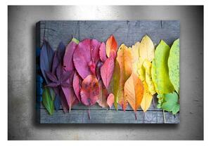 Slika Tablo Center Autumn Palette, 100 x 70 cm