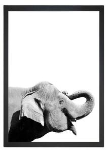 Poster Tablo Center Elephant, 24 x 29 cm