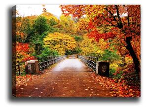 Slika Tablo Center Autumn Bridge, 70 x 50 cm