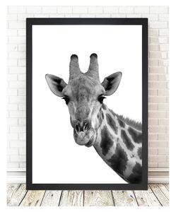 Poster Tablo Center Giraffe Portrait, 24 x 29 cm