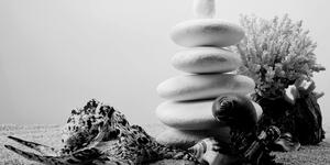 Slika Zen kamenje sa školjkama u crno-bijelom dizajnu