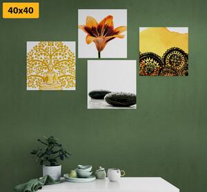 Set slika Feng Shui kombinacija