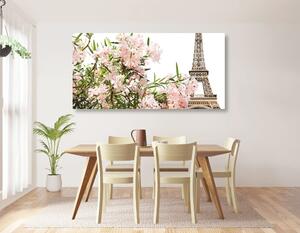 Slika Eiffelov toranj i ružičasti cvjetovi