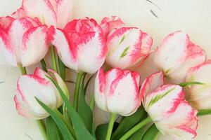 Slika proljetni tulipani