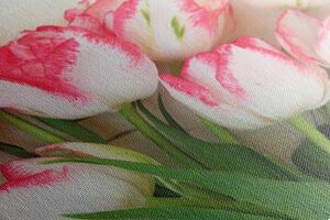 Slika tulipani u proljetnom tonu