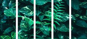 5-dijelna slika svježi tropski listovi