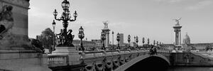 Slika most Aleksandra II. u Parizu u crno-bijelom dizajnu