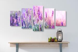 5-dijelna slika čarobno cvijeće lavande