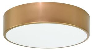 Stropna svjetiljka za kupaonicu CLEO 2xE27/24W/230V pr. 30 cm zlatna IP54