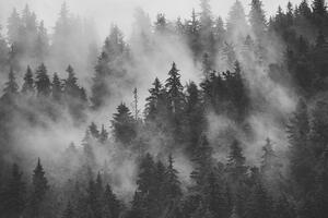Slika planine u magli u crno-bijelom dizajnu