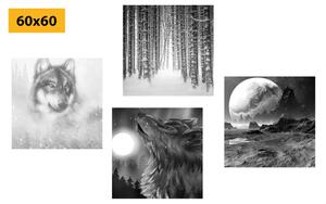 Set slika tajanstveni vuk u crno-bijelom dizajnu