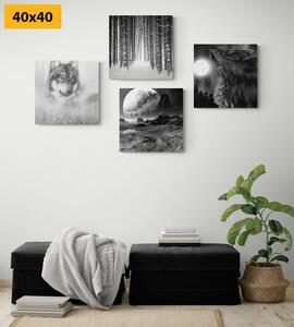 Set slika tajanstveni vuk u crno-bijelom dizajnu