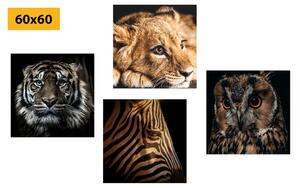Set slika divlje životinje