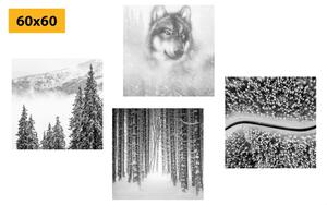 Set slika vuk u tajanstvenoj šumi u crno-bijelom dizajnu