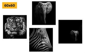 Set slika životinje u crno-bijelom stilu