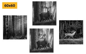 Set slika šumske životinje u crno-bijelom dizajnu