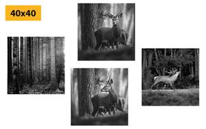 Set slika šumske životinje u crno-bijelom dizajnu