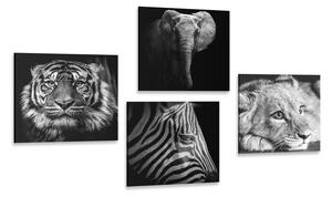Set slika divlje životinje u crno-bijelom dizajnu