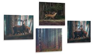 Set slika čarolija šumskih životinja