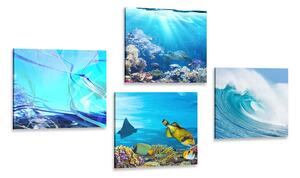 Set slika podvodni život