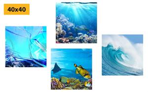Set slika podvodni život