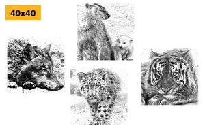 Set slika životinje u crno-bijelom akvarelnom dizajnu