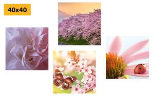 Set slika priroda u cvatu
