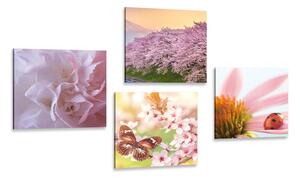 Set slika priroda u cvatu