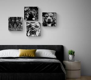 Set slika životinje u crno-bijelom pop art stilu